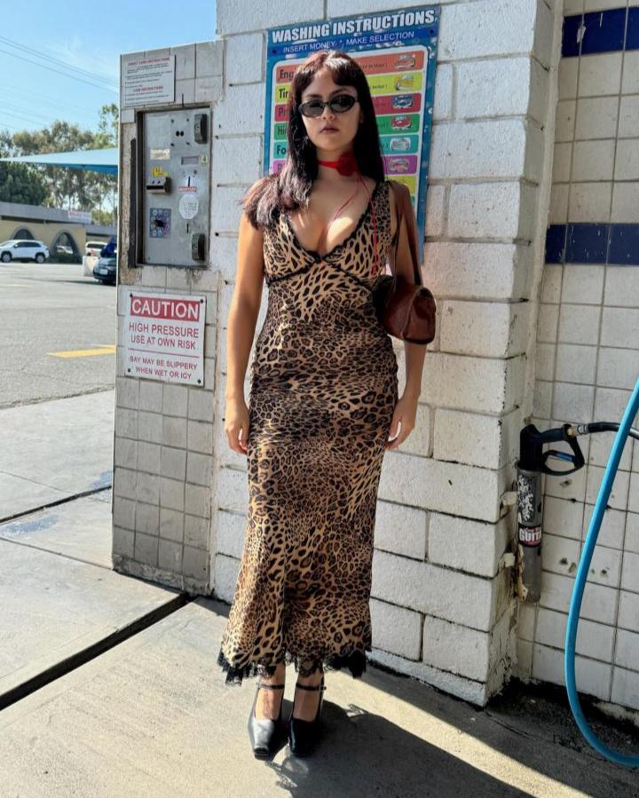 Leopard and Lace Dress